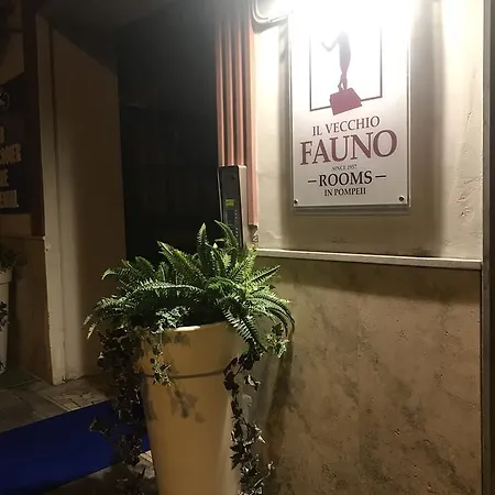 بيت ضيافة Il Vecchio Fauno 2*