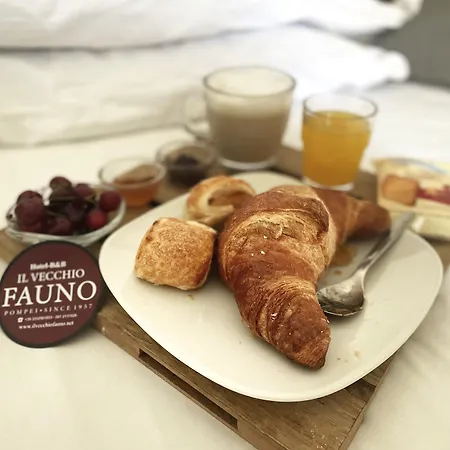 Πανσιόν Il Vecchio Fauno 3*