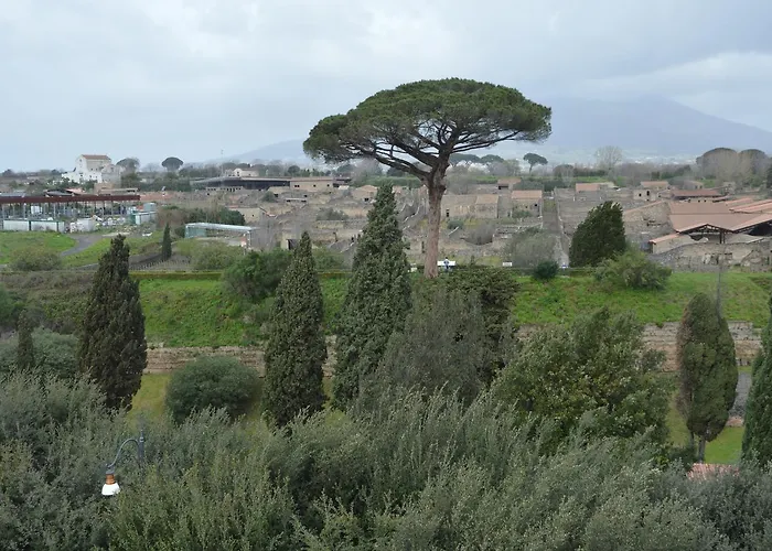 Il Vecchio Fauno 3*